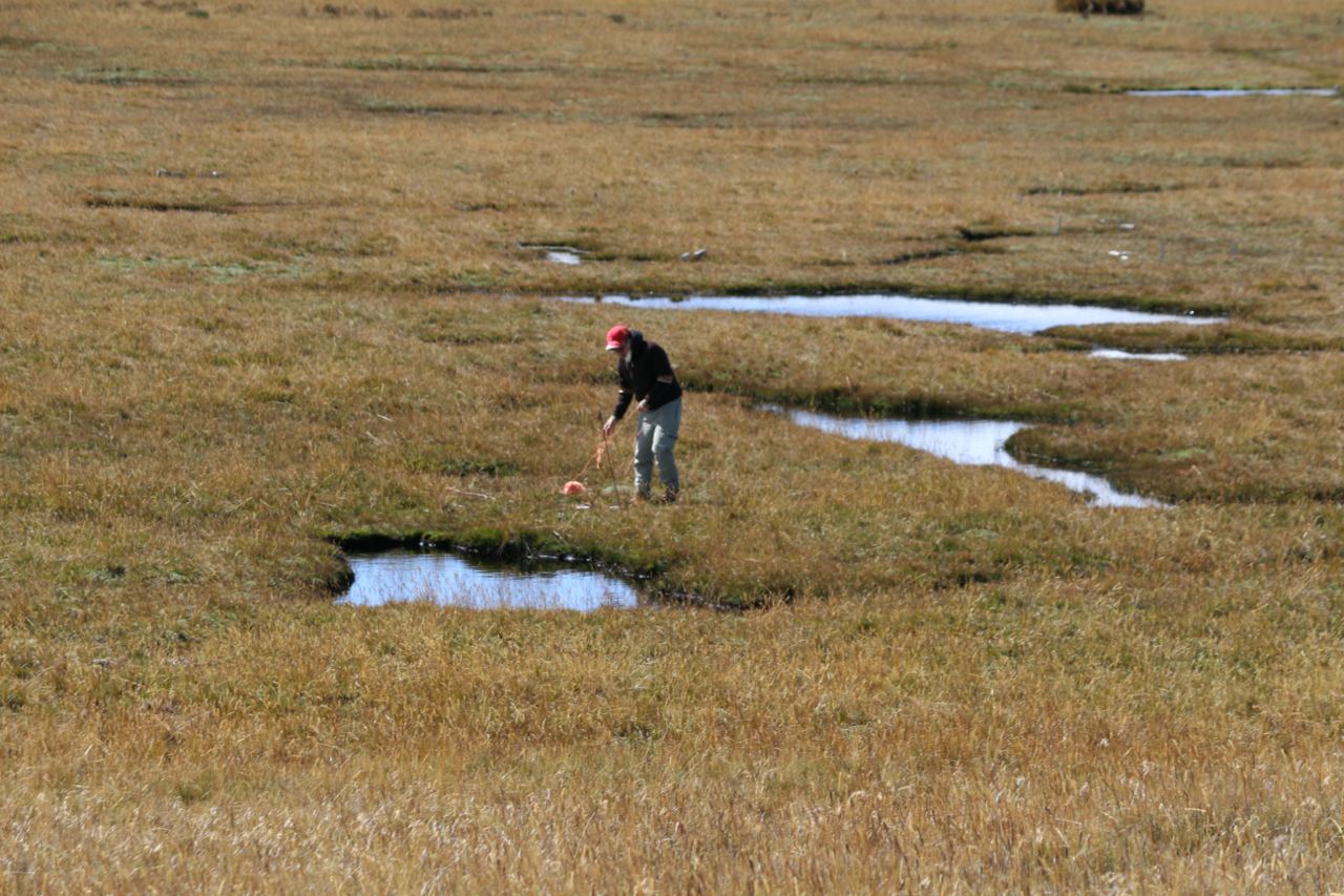 Installation of ground control points in the paramo.