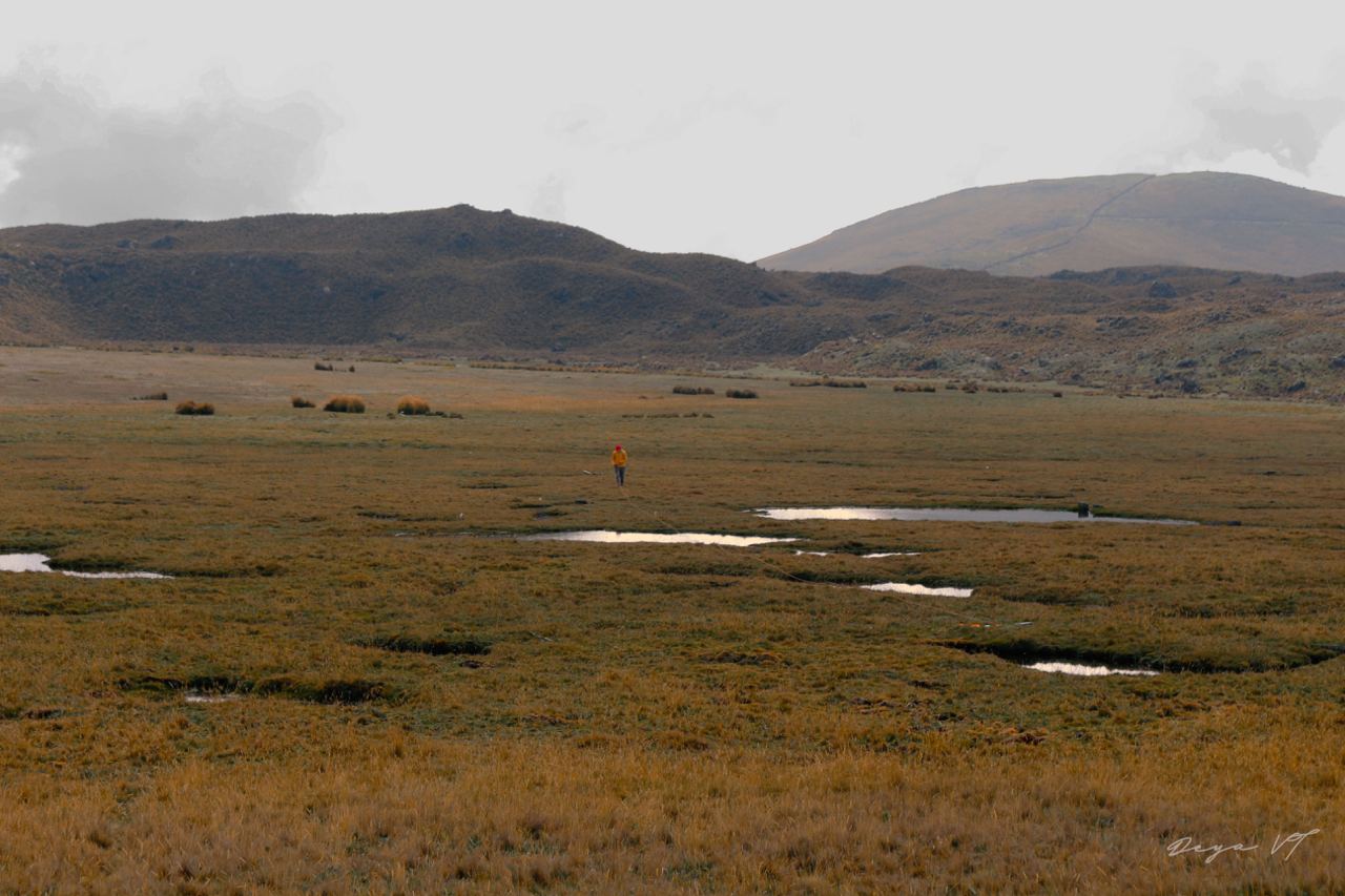 Inspection and terrain tour in the Antisana wetlands.