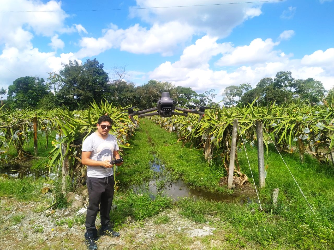 Quadcopter drone flight for data collection on dragon fruit cultivation.